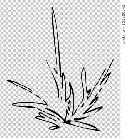 Grass line drawing illustration Grass line drawing illustration 101880642