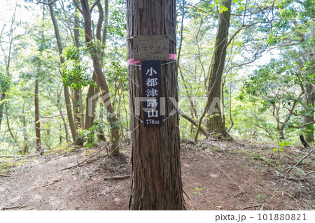 小都津路山の山頂(奥武蔵) 小都津路山の山頂(奥武蔵) 101880821
