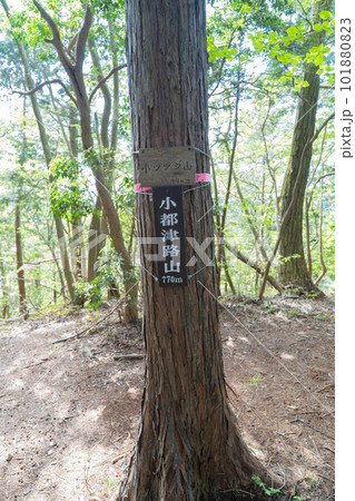 小都津路山の山頂（奥武蔵） 101880823