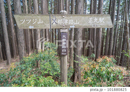 大都津路山の山頂(奥武蔵) 大都津路山の山頂(奥武蔵) 101880825