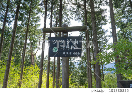 ツツジ山の山頂（奥武蔵） 101880836