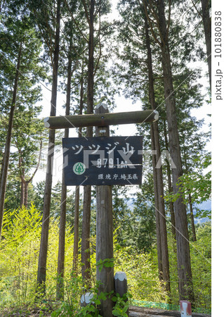 ツツジ山の山頂（奥武蔵） 101880838