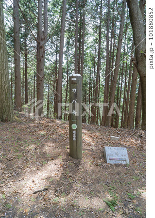 カバ岳の山頂(奥武蔵) カバ岳の山頂(奥武蔵) 101880852