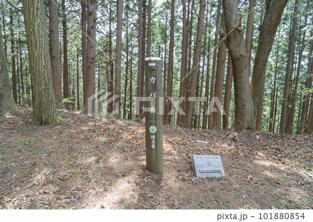 カバ岳の山頂（奥武蔵） 101880854