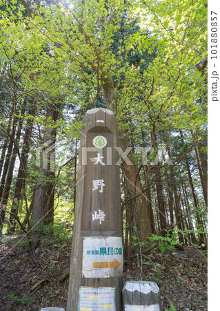 大野峠(奥武蔵) 大野峠(奥武蔵) 101880857
