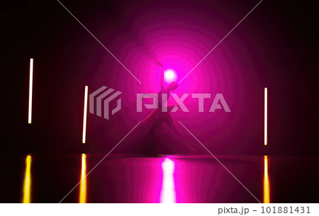 Elegant silhouette of ballerina on pink background dancing ballet.Dancer, tutu Elegant silhouette of ballerina on pink background dancing ballet.Dancer, tutu 101881431