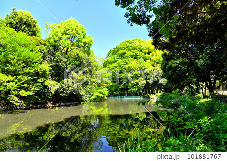 和田堀公園／和田堀池(東京都杉並区)【2023.4】 101881767