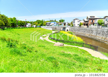 杉並区立済美公園付近より武蔵野橋／善福寺川方面を望む(東京都杉並区)【2023.4】 101882056