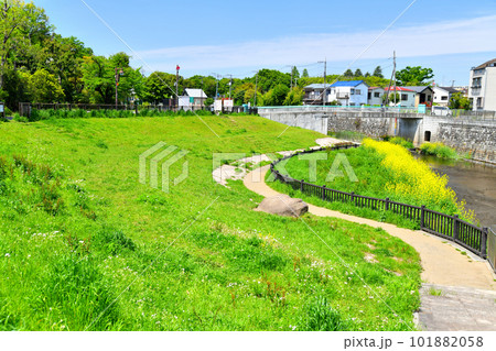 杉並区立済美公園付近より武蔵野橋／善福寺川方面を望む(東京都杉並区)【2023.4】 101882058