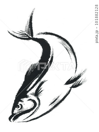 イラスト　鰤　ぶり 101882128