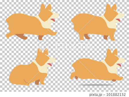 威爾士柯基犬平面插圖的各種姿勢 101882132