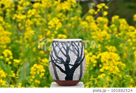 権現堂堤菜の花畑の中で 101882524