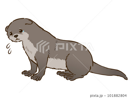 悲しむカワウソ 101882804