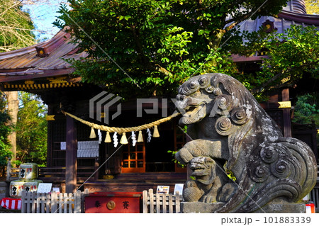 玉敷神社　社殿　埼玉県加須市騎西 101883339