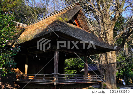 玉敷神社　神楽殿　埼玉県加須市騎西 101883340