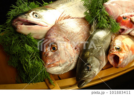 新鮮な肉・魚介類・野菜・果物｜食材の集合写真 101883411