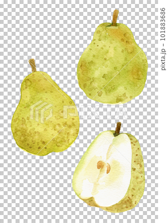 La France 梨手繪水彩插圖 101883686