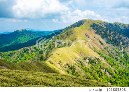 春の剣山登山（次郎笈山頂から剣山を望む） 101883808
