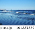 九十九里の海岸 101883829
