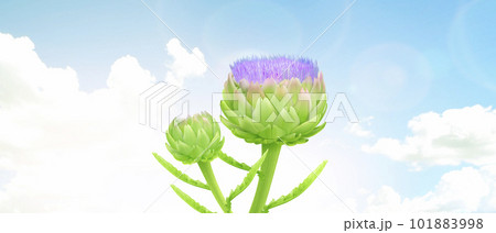 アーティチョークの花と青空 中央 CG アーティチョークの花と青空 中央 CG 101883998