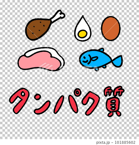 一組蛋白質插圖和字母 一組蛋白質插圖和字母 101885602
