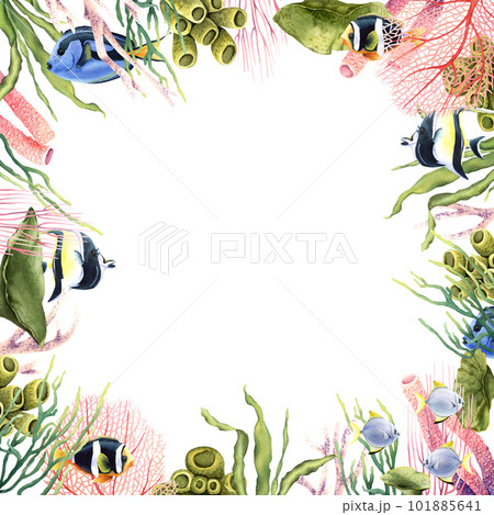 Frame border with underwater corals, plants and tropical fish. Hand drawn watercolor illustration isolated on white Frame border with underwater corals, plants and tropical fish. Hand drawn watercolor illustration isolated on white 101885641