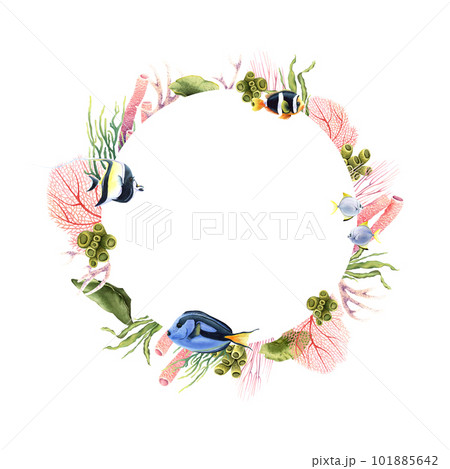 Wreath with underwater corals, plants and tropical fish. Hand drawn watercolor illustration isolated on white 101885642