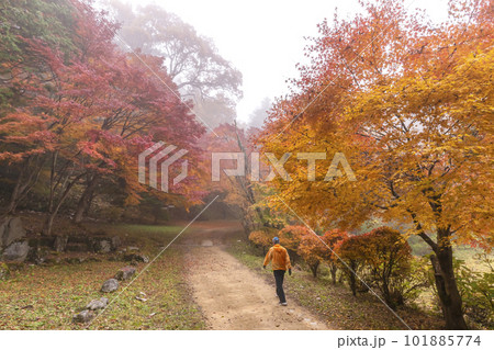 221112城山公園s123 221112城山公園s123 101885774