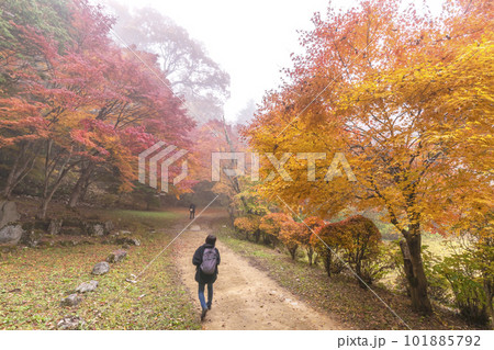 221112城山公園s046 101885792