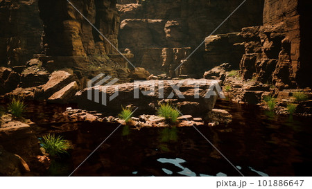 colorado river with gorgeous sandstone walls and canyons 101886647