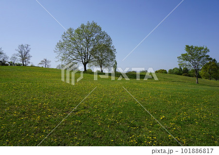 岡山県津山市にある都市型公園「グリーンヒルズ津山」：春の風景 101886817