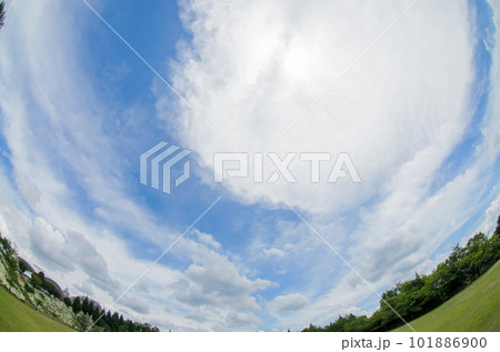魚眼レンズで撮った青空 魚眼レンズで撮った青空 101886900