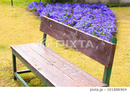誰もいない公園のベンチ 101886904