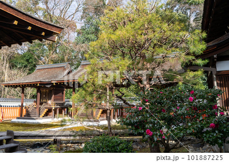 賀茂御祖神社(下鴨神社) 賀茂御祖神社(下鴨神社) 101887225