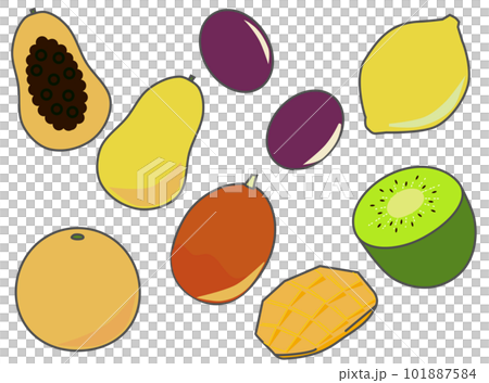 Set illustration of simple fruits 101887584