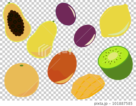 Set illustration of simple fruits 101887585