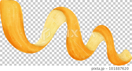 Watercolour spiral skin peeling of orange fruit hand painted illustration 101887620