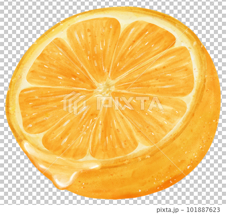 Watercolour cut half orange fruit with juice drip hand painted illustration Watercolour cut half orange fruit with juice drip hand painted illustration 101887623