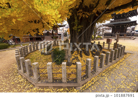 221117飛騨国分寺s060 221117飛騨国分寺s060 101887691