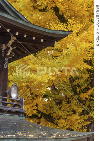 221117飛騨国分寺z022 101887699