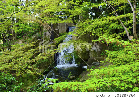 愛知県名古屋市　徳川園　大曽根の瀧 101887864