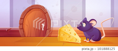 Small rat near mouse hole door and cheese lure 101888125