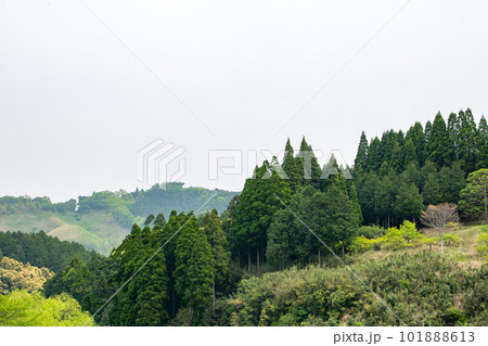 新緑の山の稜線 101888613