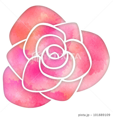 897＊ピンクの五月バラ　水彩画　原画 897＊ピンクの五月バラ 水彩画 原画 897＊ピンクの五月バラ