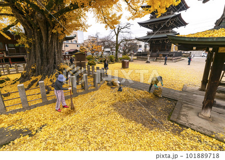 221122飛騨国分寺s279 221122飛騨国分寺s279 101889718