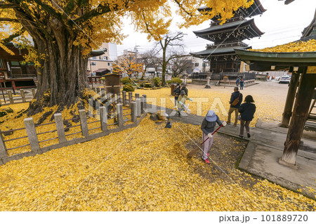 221122飛騨国分寺s272 101889720