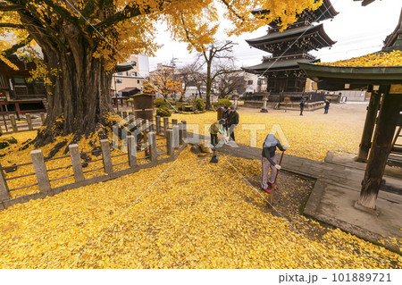 221122飛騨国分寺s270 101889721