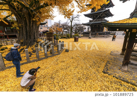 221122飛騨国分寺s234 101889725