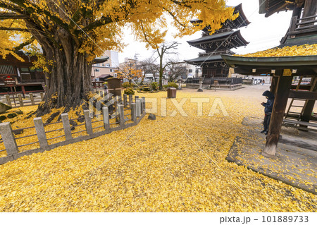 221122飛騨国分寺s170 221122飛騨国分寺s170 101889733