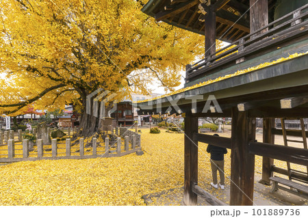 221122飛騨国分寺s148 101889736